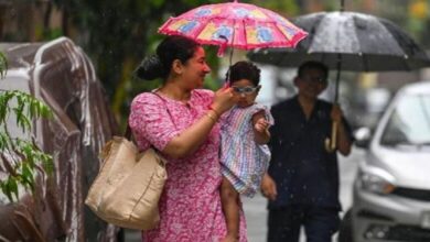 Photo of MP में अगले 72 घंटे भारी! कई इलाकों में तबाही मचाएगी आंधी-बारिश