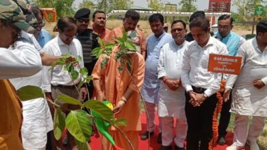 Photo of पर्यावरण दिवस आज: यूपी में एक पेड़ मां के नाम अभियान के तहत होंगे पांच करोड़ पौधरोपण