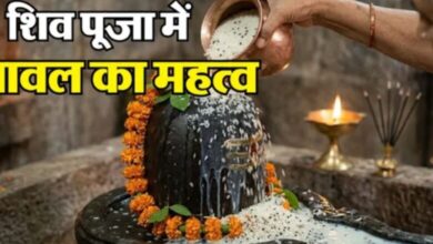Photo of भगवान शिव को चावल अर्पित करने से क्यों बढ़ती है स्थिर लक्ष्मी?