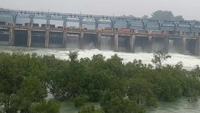 Photo of 22 फीट बढ़ा भाखड़ा का जलस्तर: पिछले साल से फिर भी नीचे, तीन राज्यों-चंडीगढ़ में गहरा सकता है जल संकट