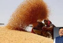 Photo of  86 हजार क्विंटल गेहूं की कमी के बाद अब बोरों की गुणवत्ता पर सवाल