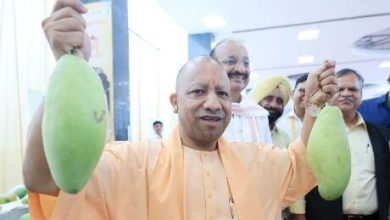Photo of लखनऊ आम महोत्सव का शुभारंभ, आधा किलो का आम देख मुस्कुराए सीएम योगी