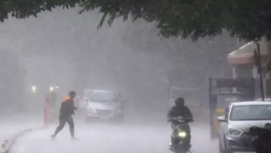 Photo of पंजाब में आज आंधी-तूफान का ‘येलो अलर्ट’…